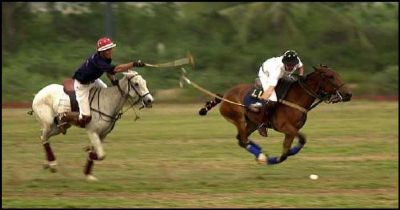 Polo Weekend Away Polo Weekend Away